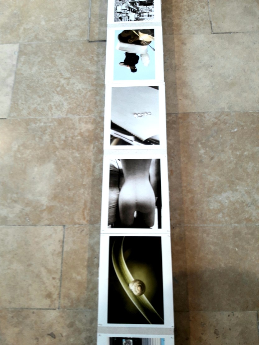 expo geant mars 2018 IPL.jpg