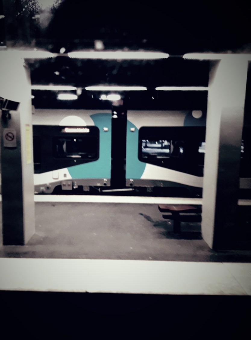 train rouen mars 2018 IPL