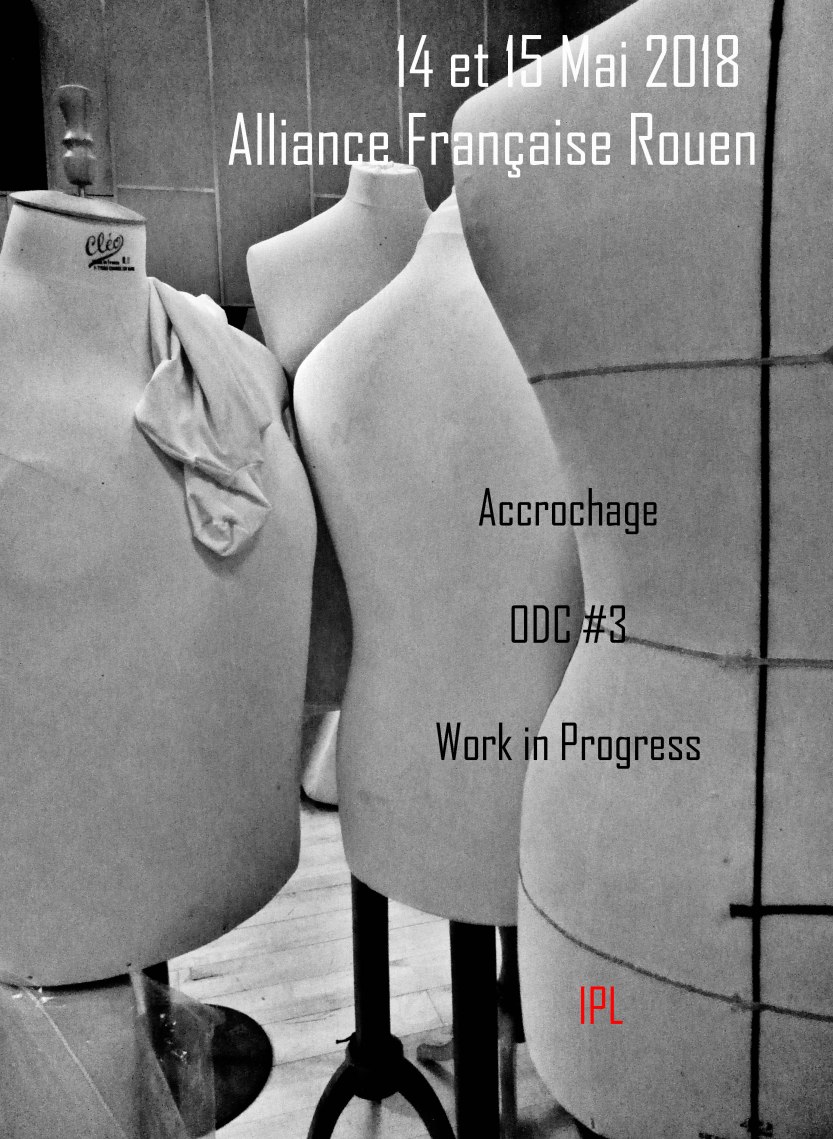 Accrochage participatif IPL 2018 r